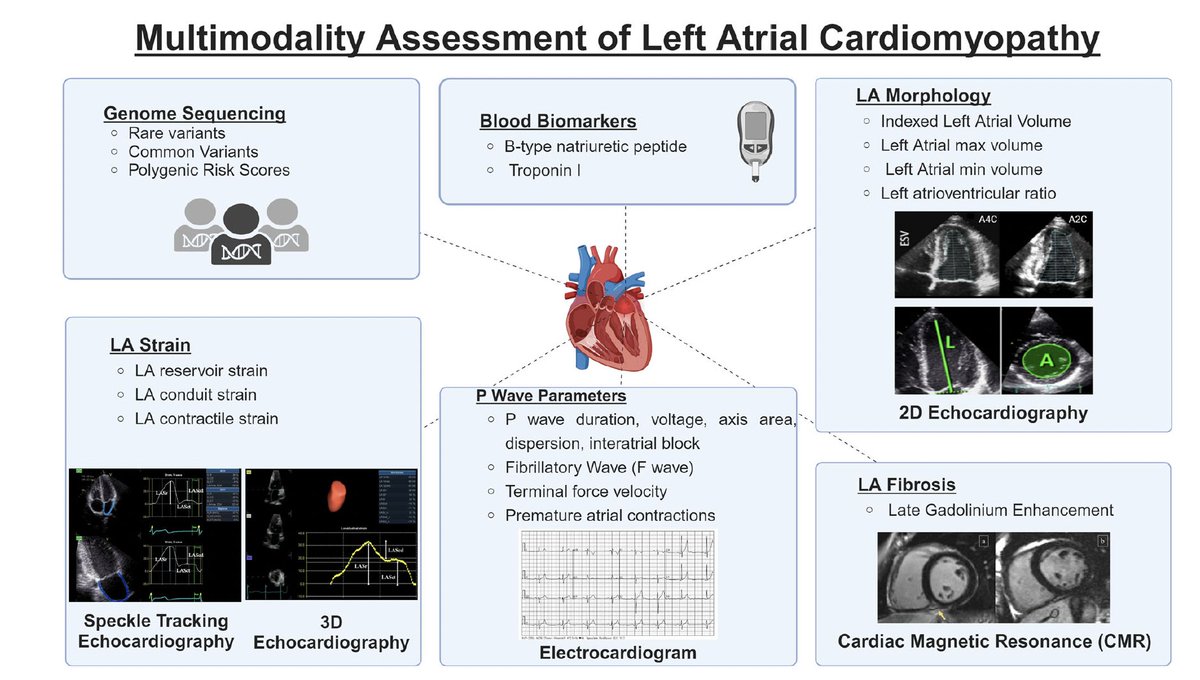 Cardiomyopathy
—Genomic basis of dilated cardiomyopathy unravelled
nature.com/articles/s4158…
nature.com/articles/s4158…
—Atrial cardiomyopathy of Athlete's heart 
nature.com/articles/s4432…