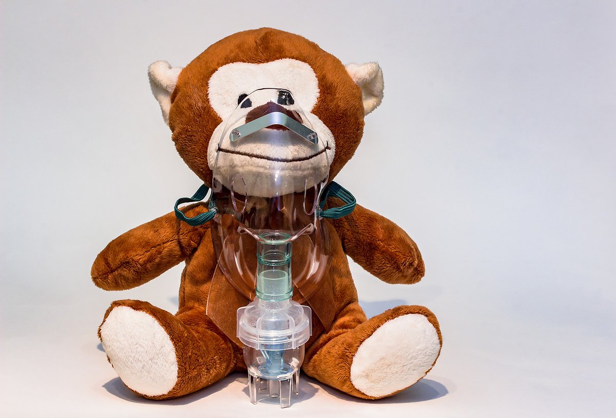 RupicapraSymp's tweet photo. Pneumonia is a common disease in chamois, but the etiological agents are less know. This study https://t.co/wXBteamZjf investigates the role of Mycoplasma spp. in the infection. https://t.co/bVMhxeIUm1