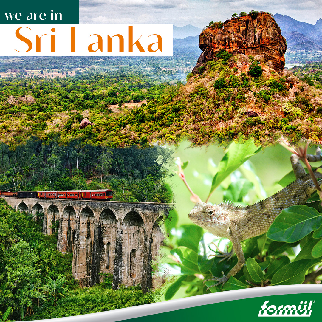 formulplastik's tweet image. We are in SRI LANKA 🇱🇰
•
Formül PP-R pipes and fittings are commonly used for hot and cold water systems.
•
🌐 formul.com.tr
📨 export@formul.com.tr
•
#ppr #pprc #pprpipes #pertpipe #plasticpipe #pprcpipe #pprfittings #plumbingfittings #SriLanka