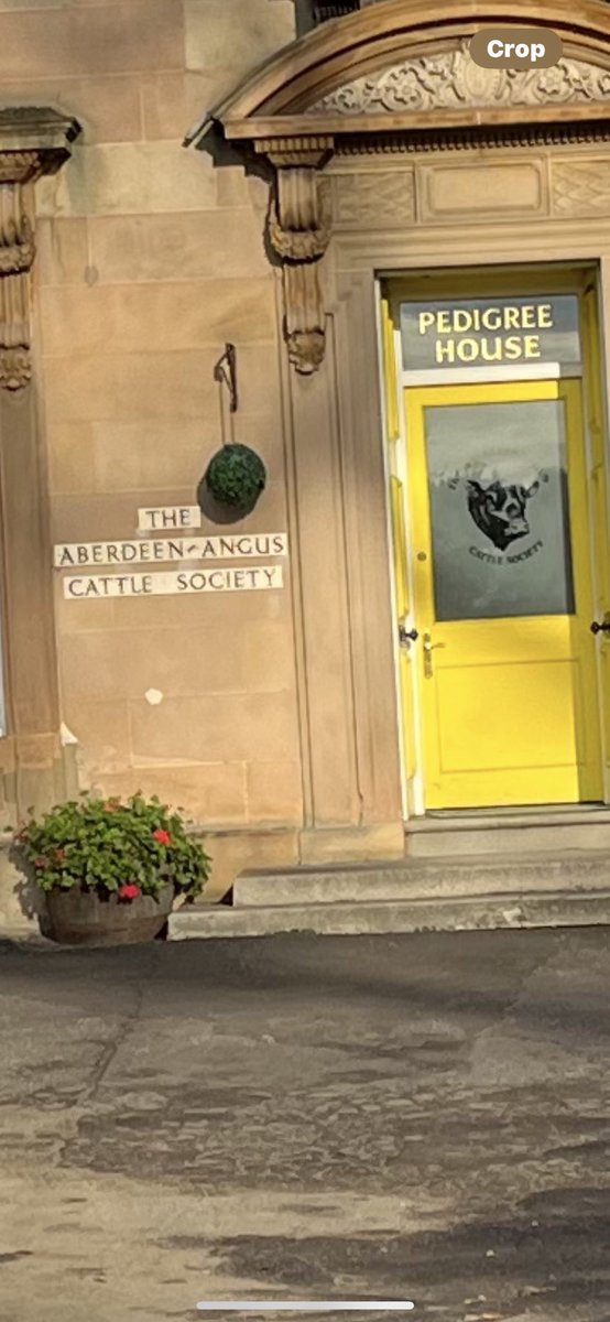 Bernard Donoghue tweet media