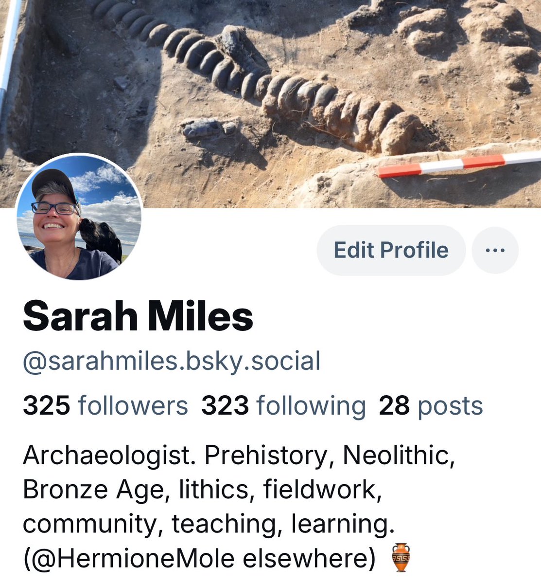 HermioneMole's tweet image. I can also be found at the other place. Feeling my way before committing to a permanent move.