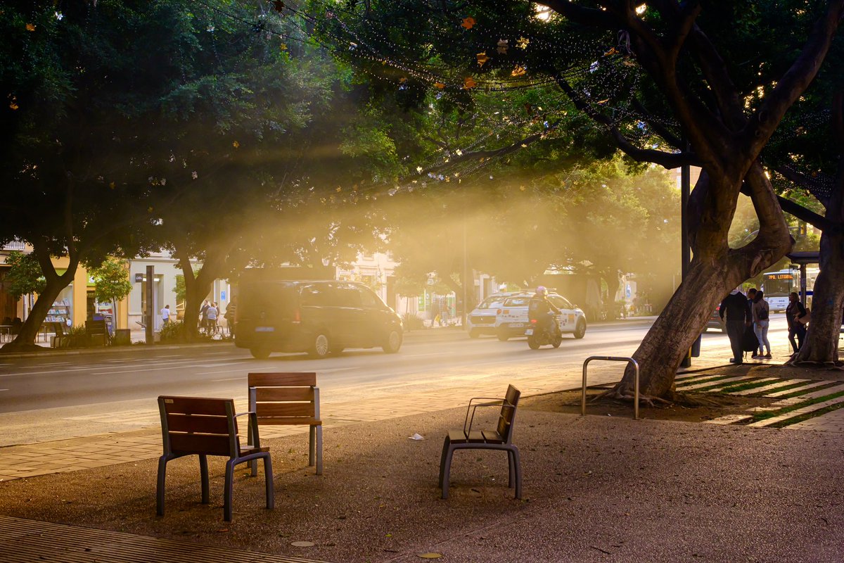 CM_MalagaFoto's tweet photo. The smoke from the chestnuts stands, combined with golden hour light, are great ingredients for some moody images on Málaga’s Alameda Principal. https://t.co/Rn4hXOKgPa