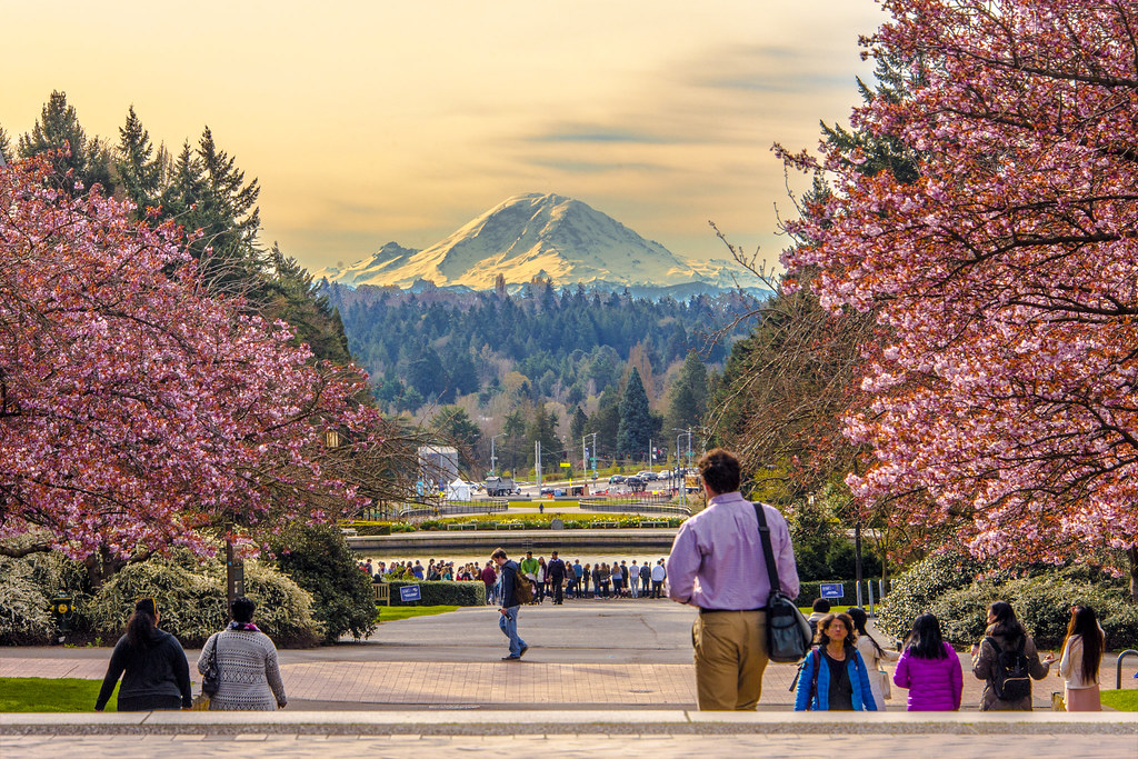 I’m recruiting PhD students to join the Computational Minds and Machines Lab at the University of Washington in Seattle! Join us to work at the intersection of computational cognitive science and AI with a broad focus on social intelligence. (Please reshare!)