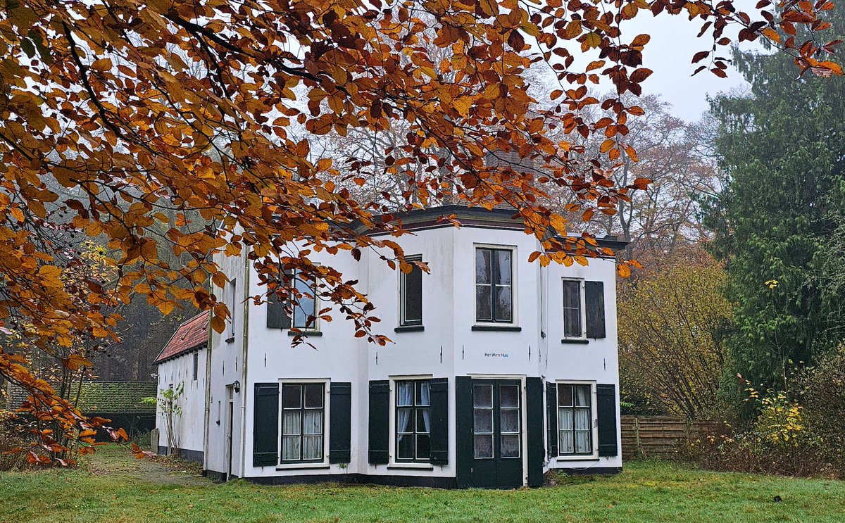 EricRoeske's tweet photo. Vrijwel windstil, genieten van de rust en de herfstkleuren in de bossen, en niemand in het Witte Huis gezien... #Dag95 https://t.co/i9QuHBFulT