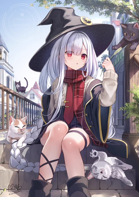 猫集めの魔法 