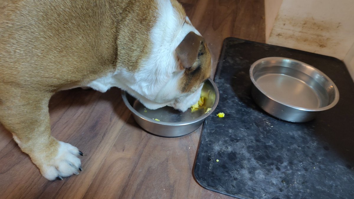 Wir hatten gestern übrigens noch ein Zwischendurch-Genesungs-Ei. 🤤