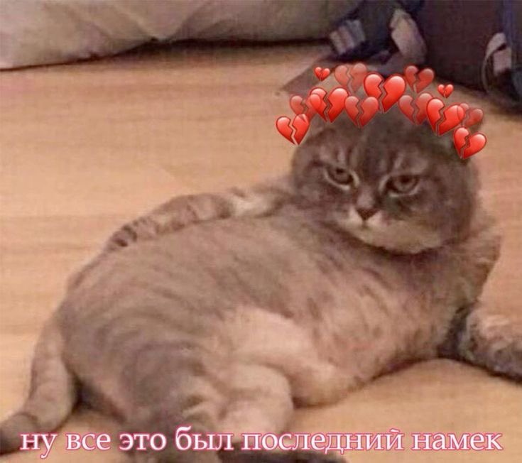 Ars (@rsssft) on Twitter photo 