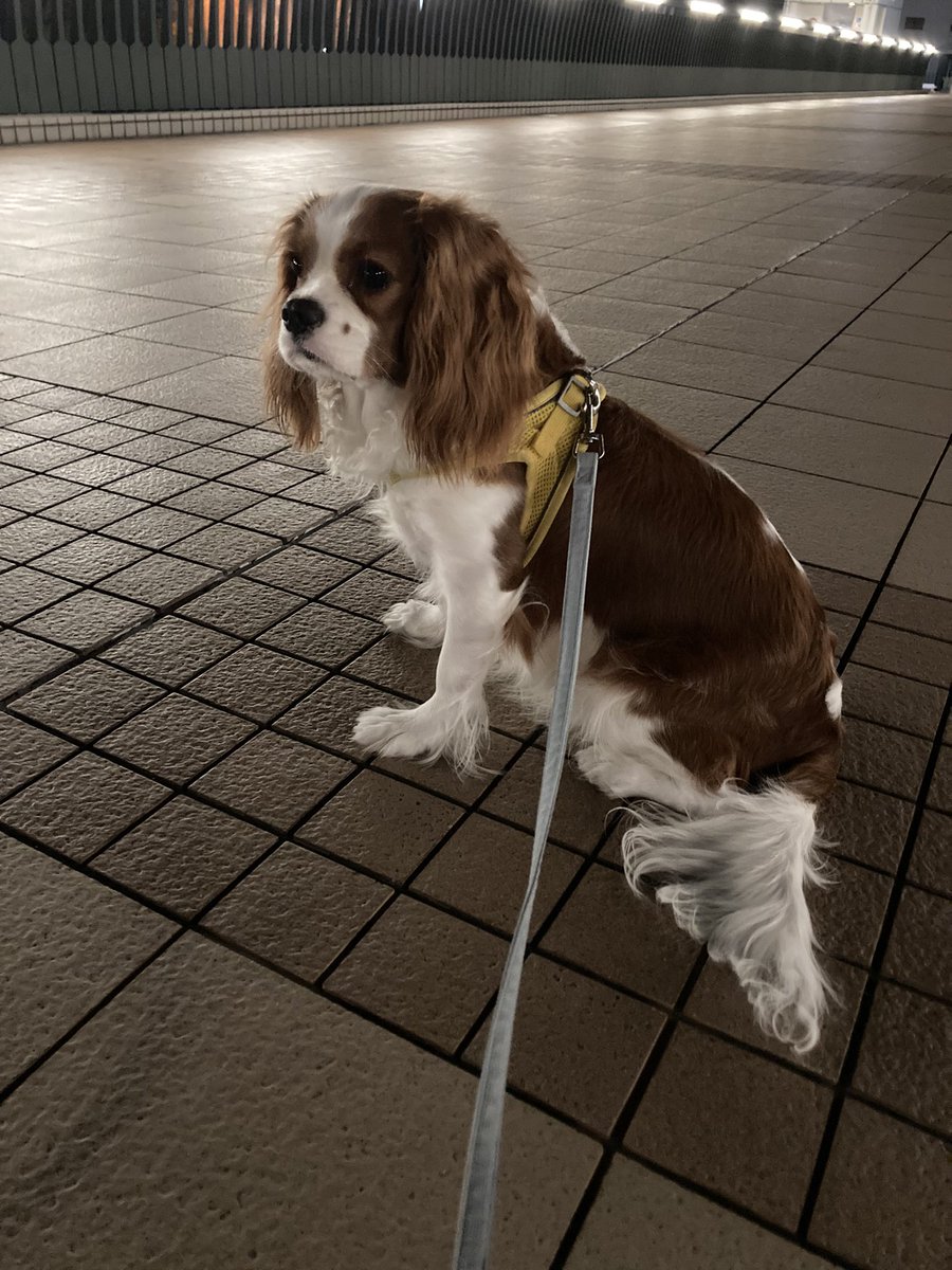 cando1998's tweet image. 素敵な横顔😀