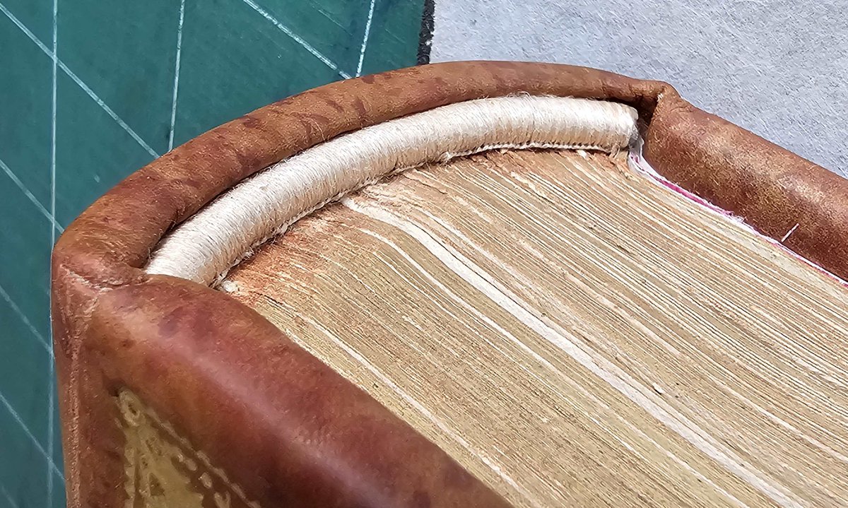 Muséum Angers tweet media