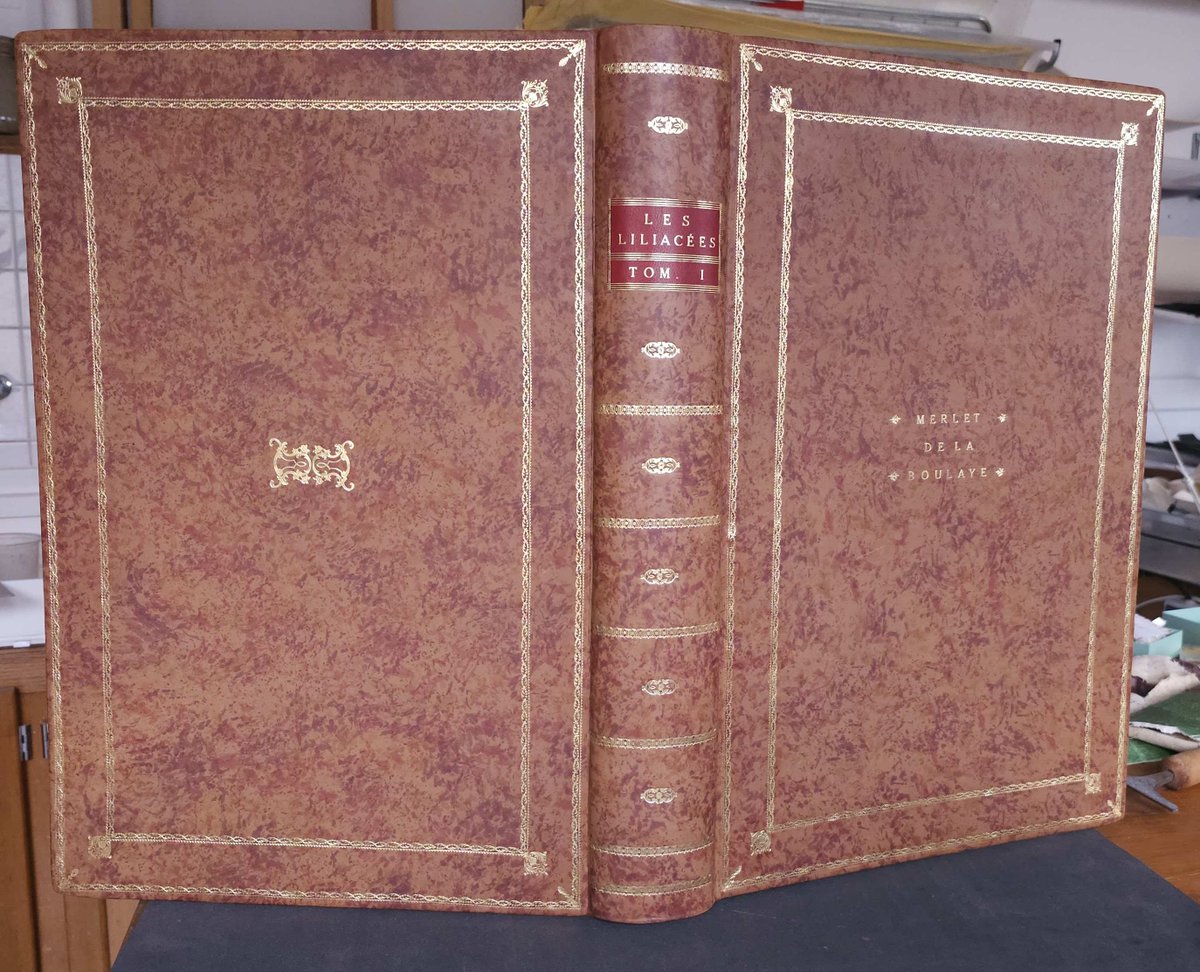 Muséum Angers tweet media