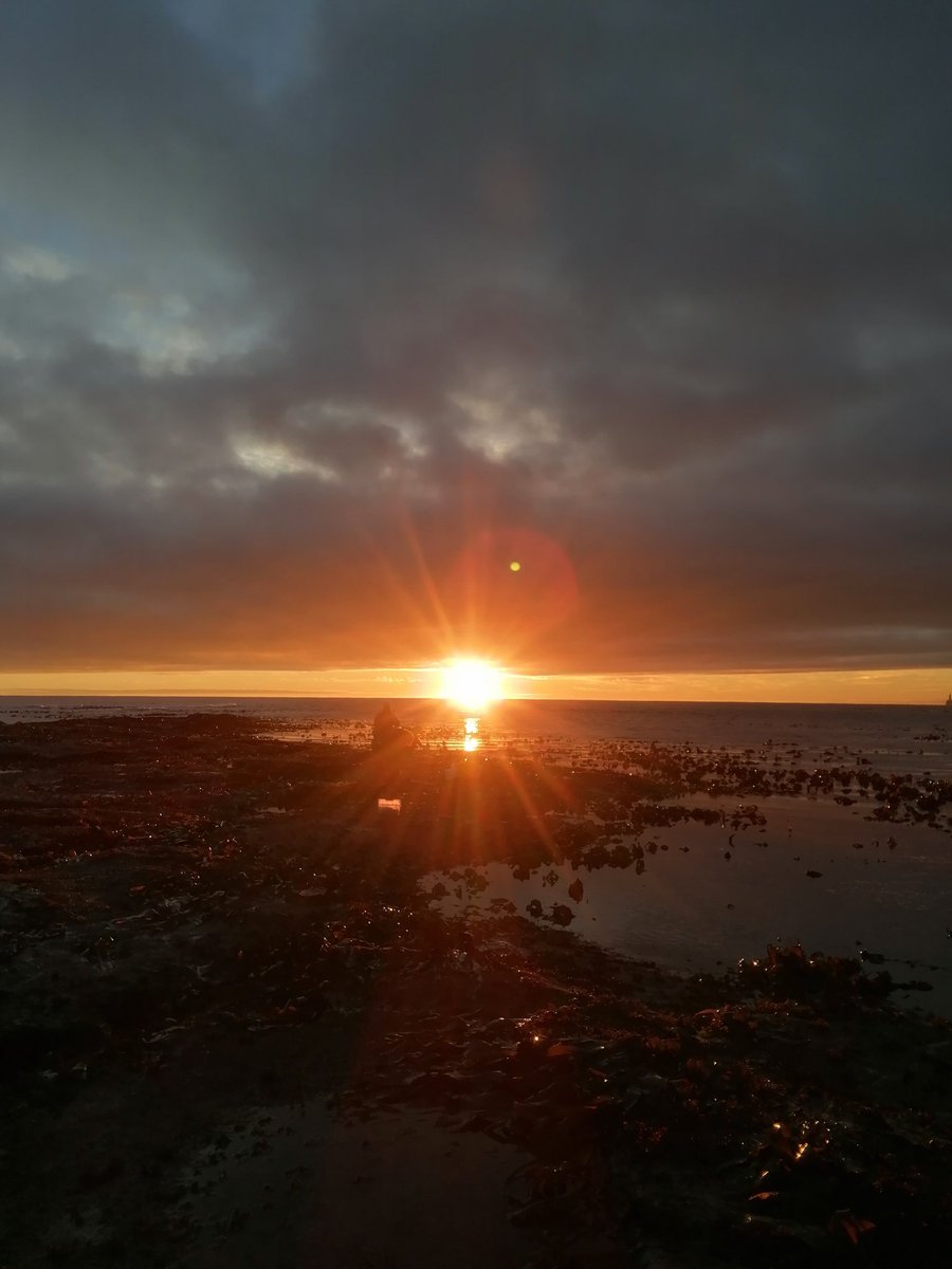 NCL Dove Marine Lab (@ncldovemarine) on Twitter photo Some absolutely stunning sunrises here, over the last few days.
🌅
<a href="/ecology_ncl/">Ecology Group, Newcastle University</a>
<a href="/UniofNewcastle/">Newcastle University</a> Some absolutely stunning sunrises here, over the last few days.
🌅
<a href="/ecology_ncl/">Ecology Group, Newcastle University</a>
<a href="/UniofNewcastle/">Newcastle University</a>