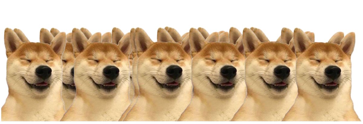 $haha dog tweet media