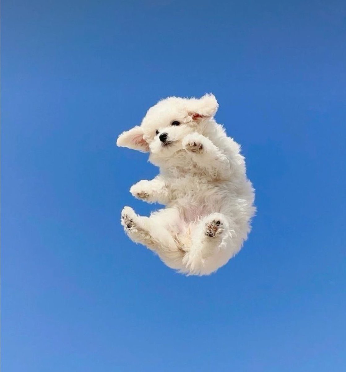 twaniimals's tweet photo. https://t.co/5vZsExw8iP