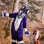 Photo by GoodWolf (@GoodWolfSK)