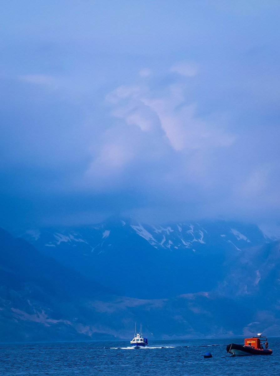 🆂🅷🅴🅴🅽🅰 tweet media