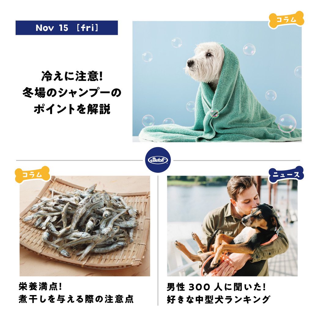 株式会社ブッチ・ジャパン・インク (@Butch_Japan) / Posts / X