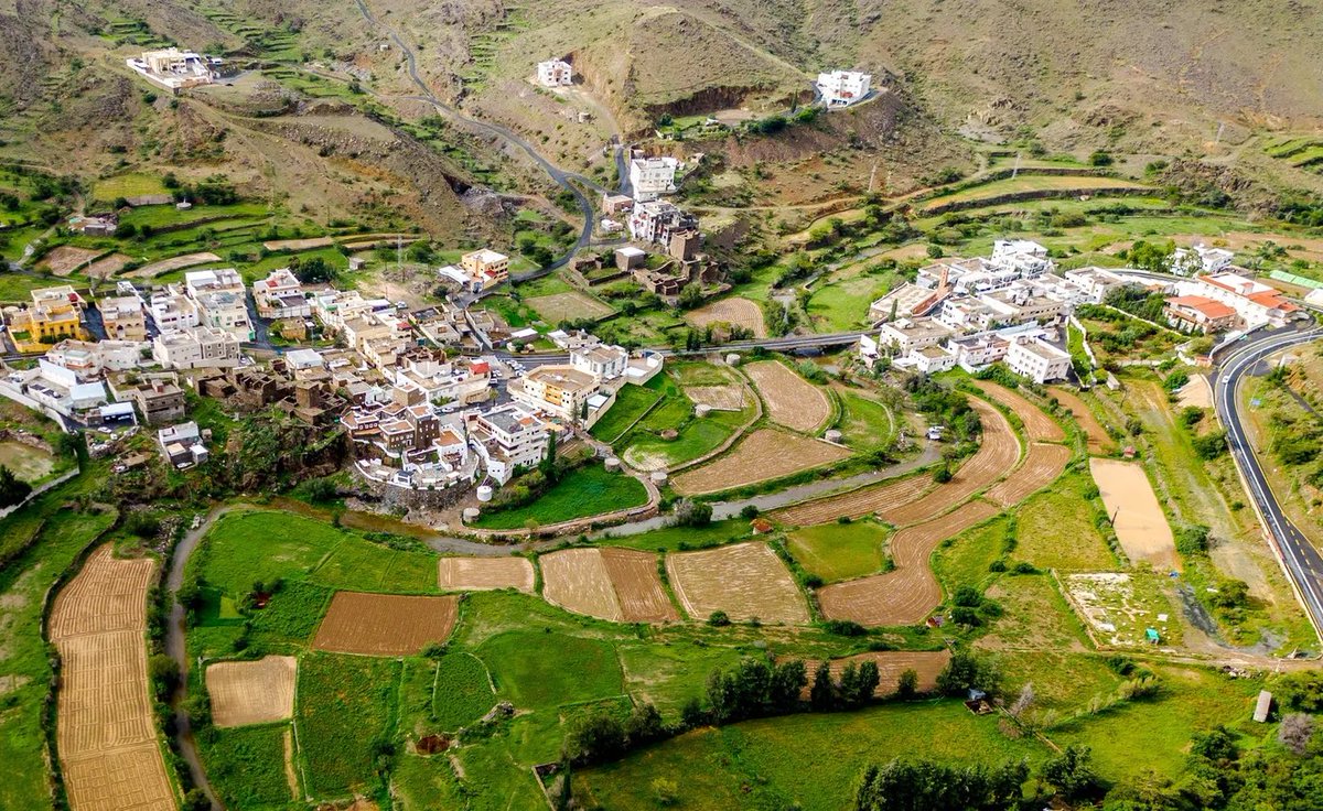 أخبار السعودية tweet media