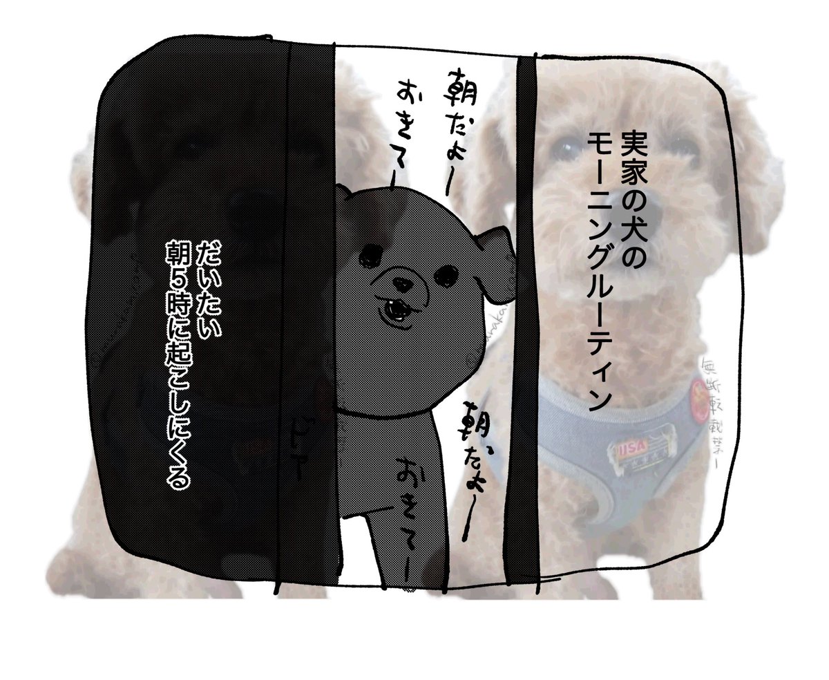 今回もウォーターマーク入れました 