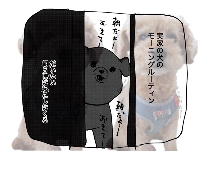 今回もウォーターマーク入れました 