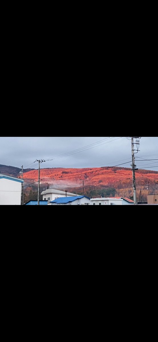 yusei719's tweet photo. 夕日が綺麗過ぎてうちの職場の迎えにある山がなまらいい感じになってる🔥 https://t.co/Jgp8PpGBJ5