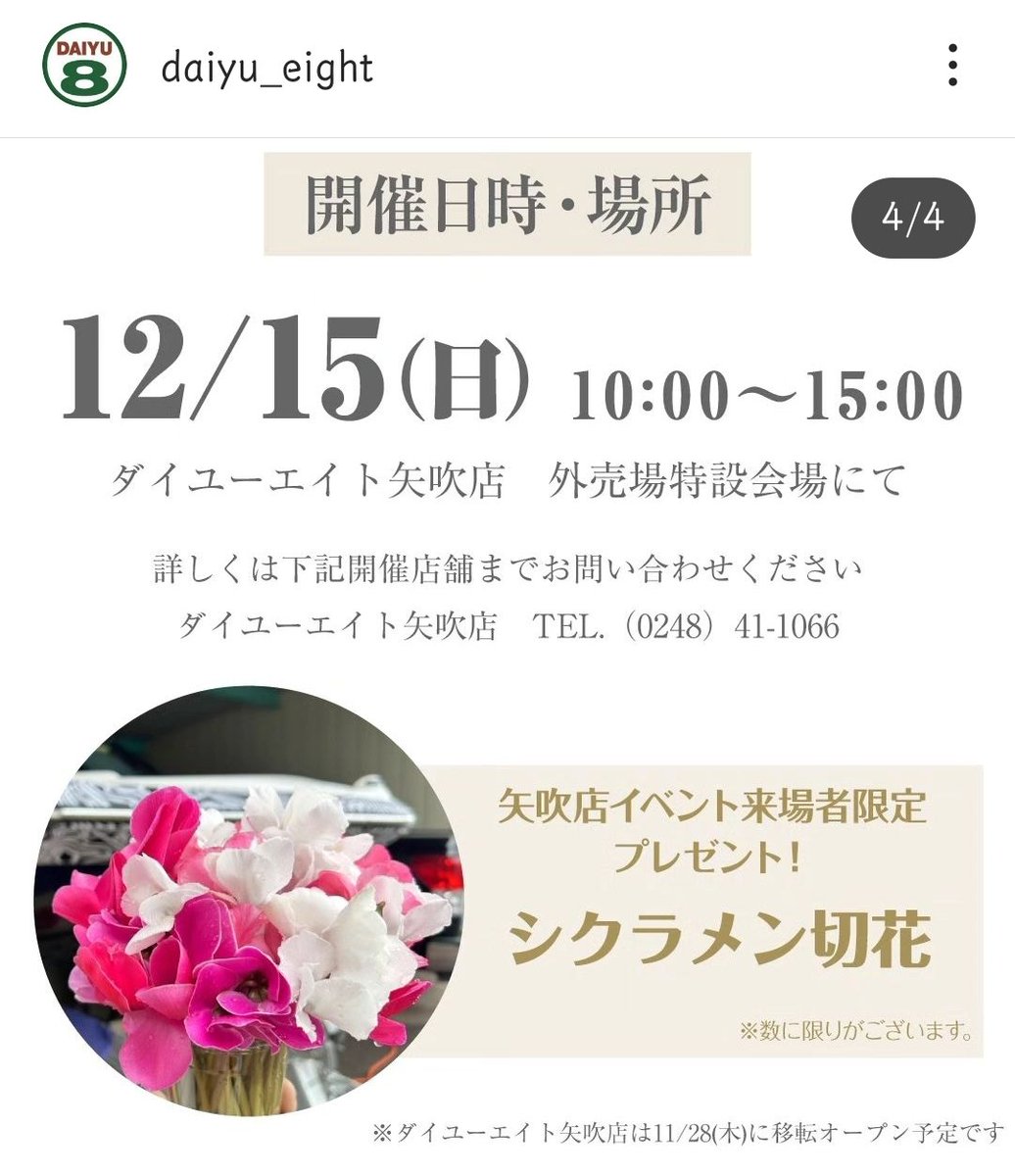 KakinumaF's tweet photo. ダイユーエイト
シクラメン販売会

福島市
矢吹町 https://t.co/Na0RDfjL6R