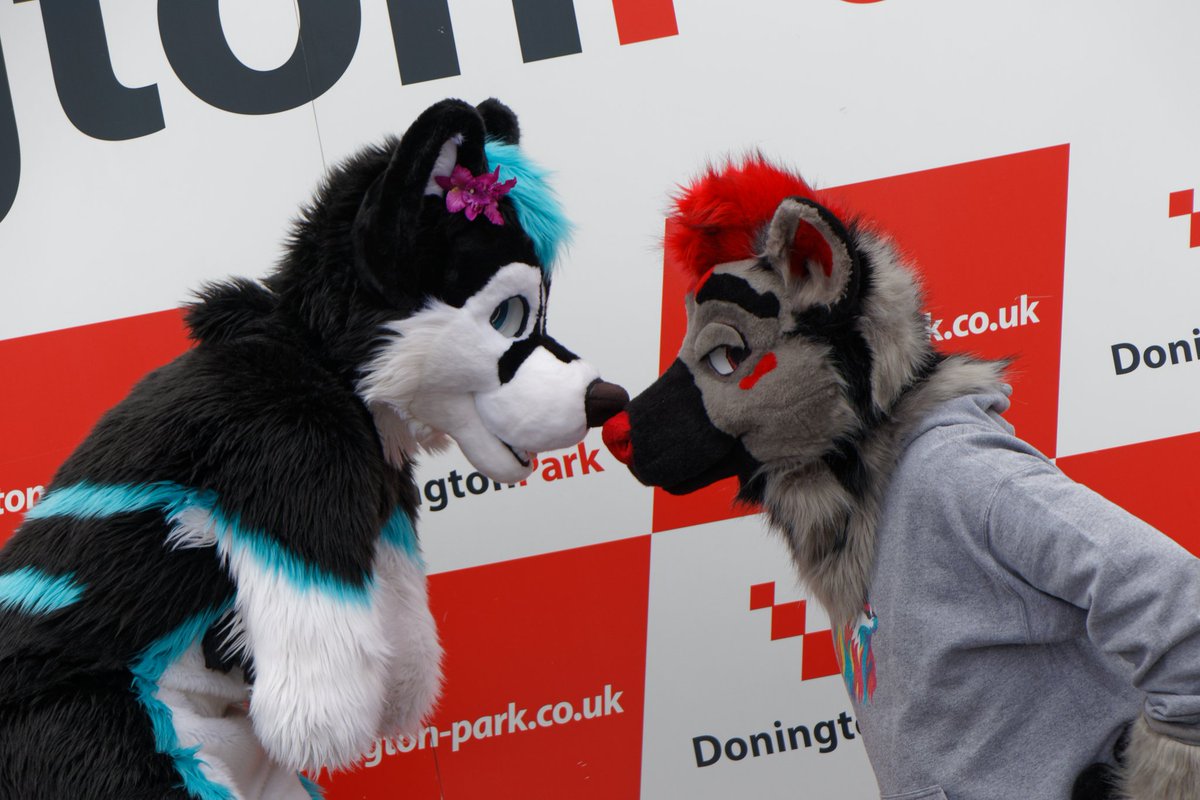 You win this time dog...
#FursuitFriday
Cute dog <a href="/NebraskaHusky/">Nebraska Husky</a>
📷 <a href="/RikMcCloud/">Blue Dot</a>