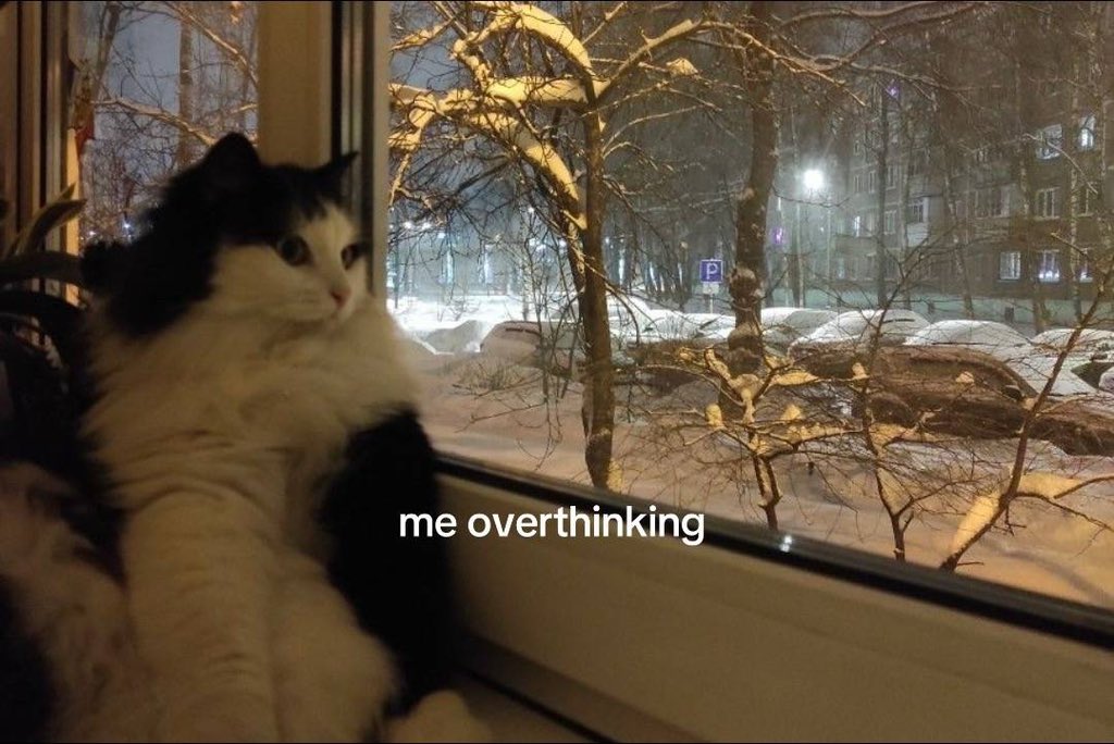 thecatsilly's tweet photo. https://t.co/TgptieqyKm