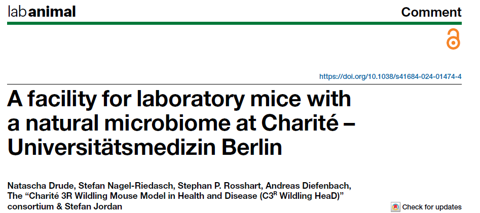 LabAnimal (@la_natres) on Twitter photo Comment l Stefan Jordan and colleagues from the C3R Wildling HeaD consortium share their experience designing a facility for safe and ethical research with Wildling mice <a href="/ChariteBerlin/">Charité - Universitätsmedizin Berlin</a> <a href="/Jordan_LoMMI/">JordanLab</a> <a href="/SRosshart/">Stephan P. Rosshart</a> <a href="/DiefenbachLab/">DiefenbachLab</a>
Link 👉 nature.com/articles/s4168… Comment l Stefan Jordan and colleagues from the C3R Wildling HeaD consortium share their experience designing a facility for safe and ethical research with Wildling mice <a href="/ChariteBerlin/">Charité - Universitätsmedizin Berlin</a> <a href="/Jordan_LoMMI/">JordanLab</a> <a href="/SRosshart/">Stephan P. Rosshart</a> <a href="/DiefenbachLab/">DiefenbachLab</a>
Link 👉 nature.com/articles/s4168…