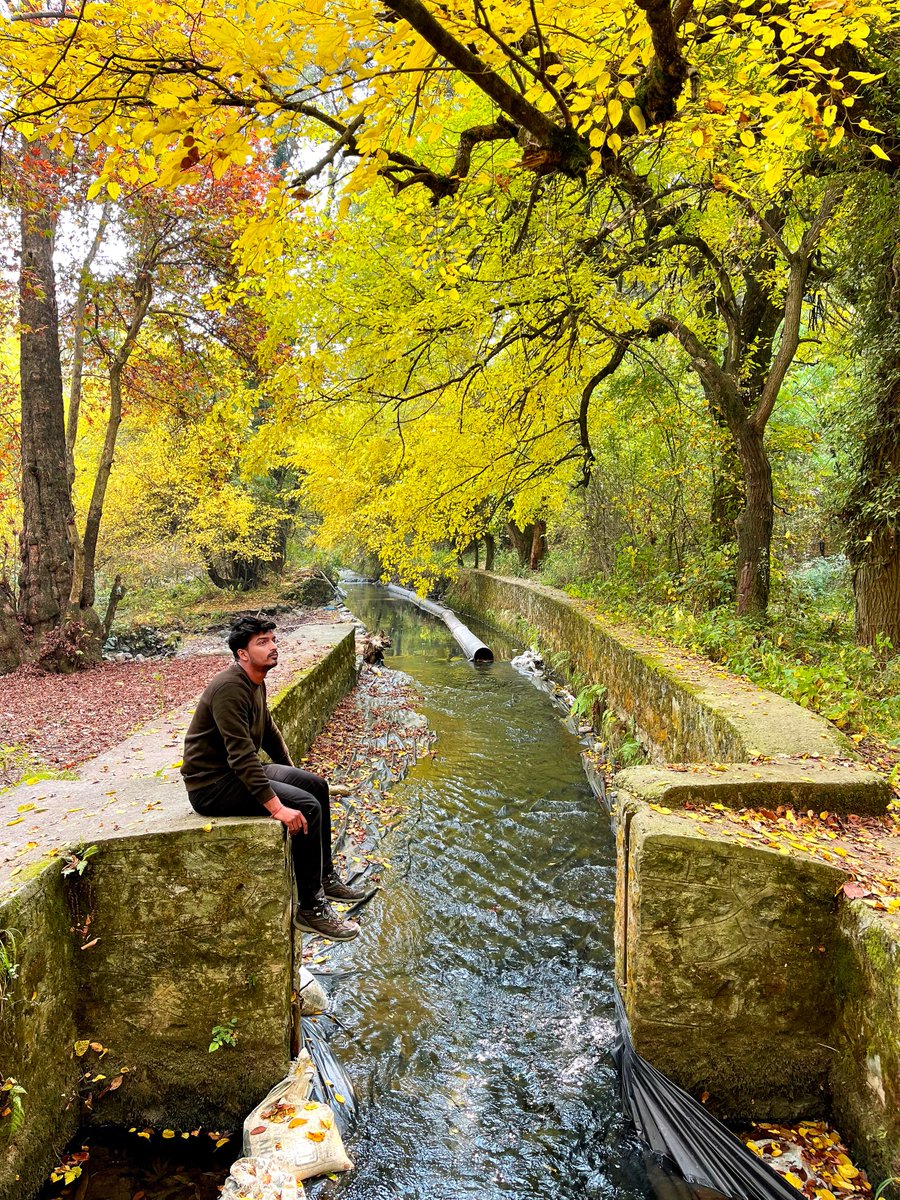 atharnajar18's tweet photo. Autumn 2024  🍂🍂🍁🍁
#dachigamnationalpark #kashmir #autumn2024 https://t.co/7xJDuu3obG