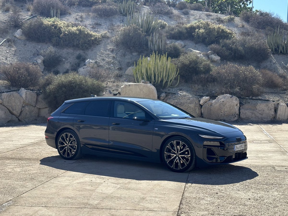 Vanessa Lisa Oelmann tweet media