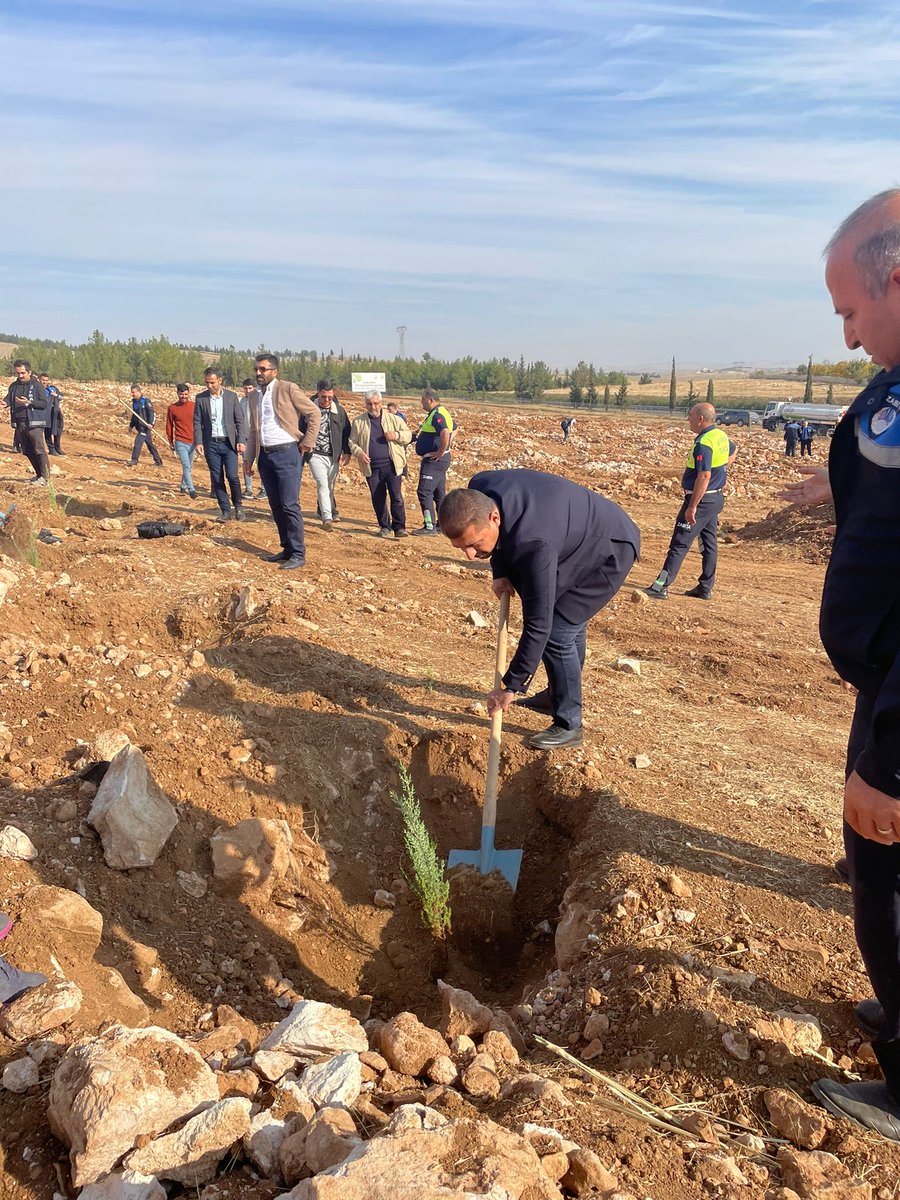 sbbf285411's tweet photo. Şanlıurfa Büyükşehir Belediyesi olarak, çevreyi koruma ve gelecek nesillere yaşanabilir bir dünya bırakma hedefiyle 100 dönümlük Hatıra Ormanı projesine Daire Başkanlığımız olarak katılım sağladık. https://t.co/rSWflCt2vZ