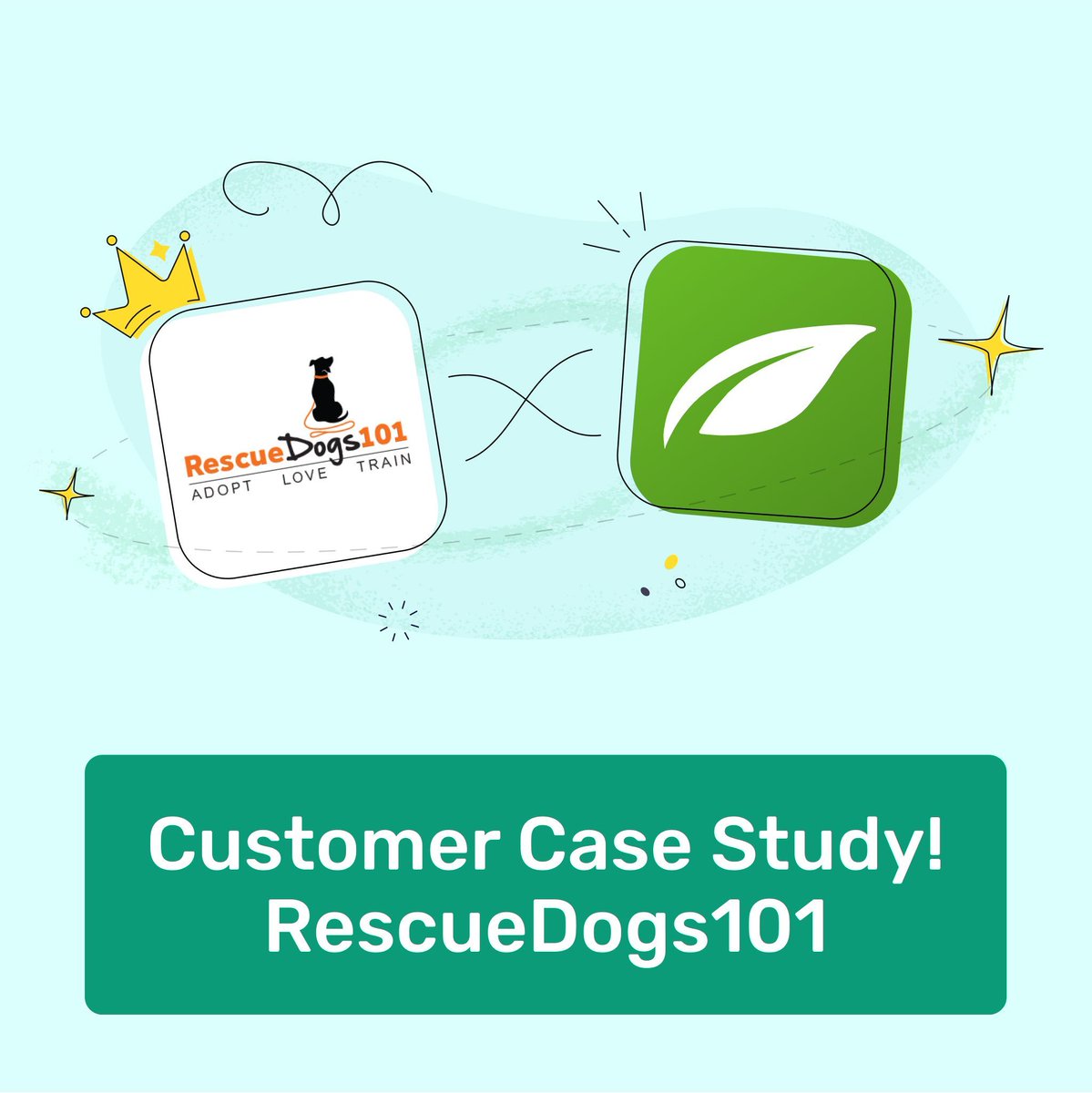 ThriveThemes's tweet photo. From fostering dogs to running a thriving online platform! 🐾 Debi McKee of Rescue Dogs 101 shares how she turned passion into profit while helping pet owners everywhere. Learn her top 6 tips for growing a sustainable online business. 👇
https://t.co/uZORQAaBkM
#ThriveWay https://t.co/1Eprse7jX8