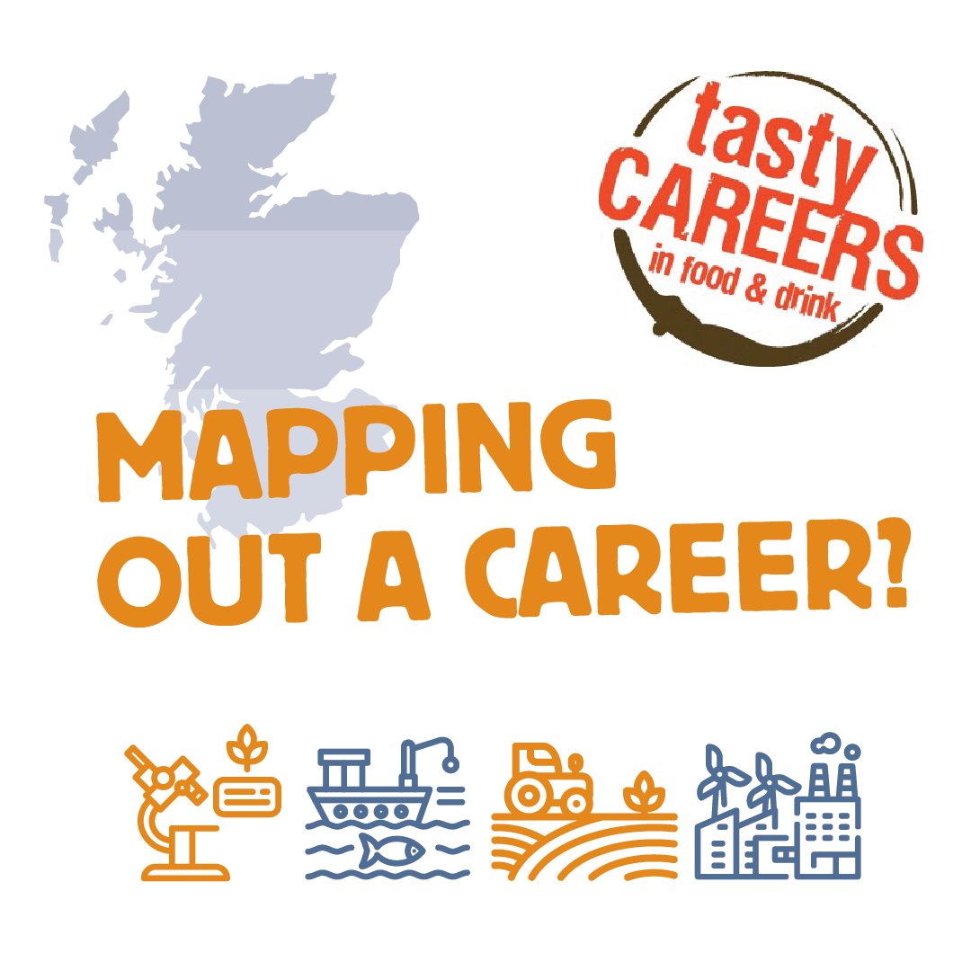 Make it Scotch Education tweet media