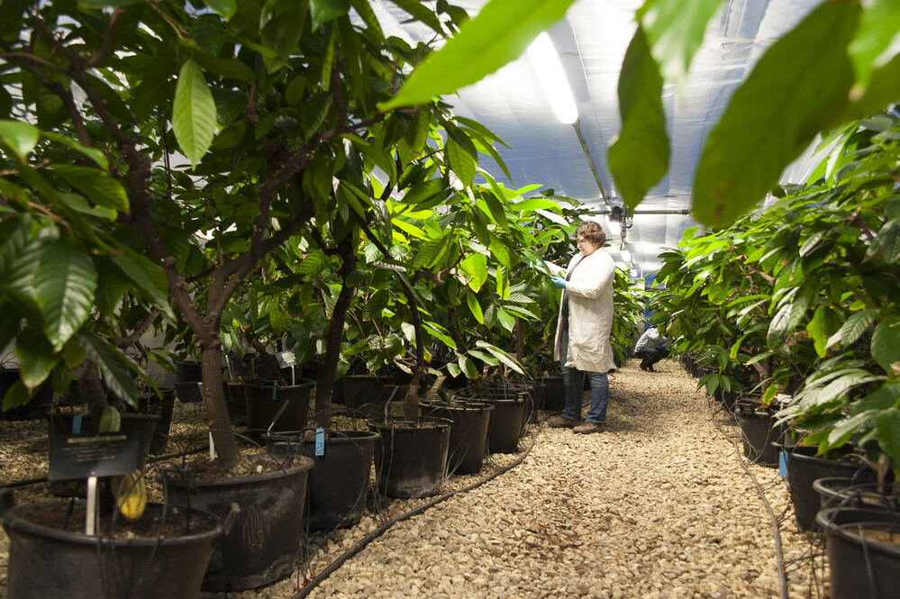 Considering a PhD in environmental sustainability? 🍃Thanks to 3 new <a href="/UKRI/">Ukri Jubuhuhu</a> funded doctoral centres, <a href="/UniofReading/">Uni of Reading</a> is offering up to 190 PhD places to 'deliver the next generation of talented researchers' 

Interested in taking that next step? 🔗rdg.ac/4fo9Rub