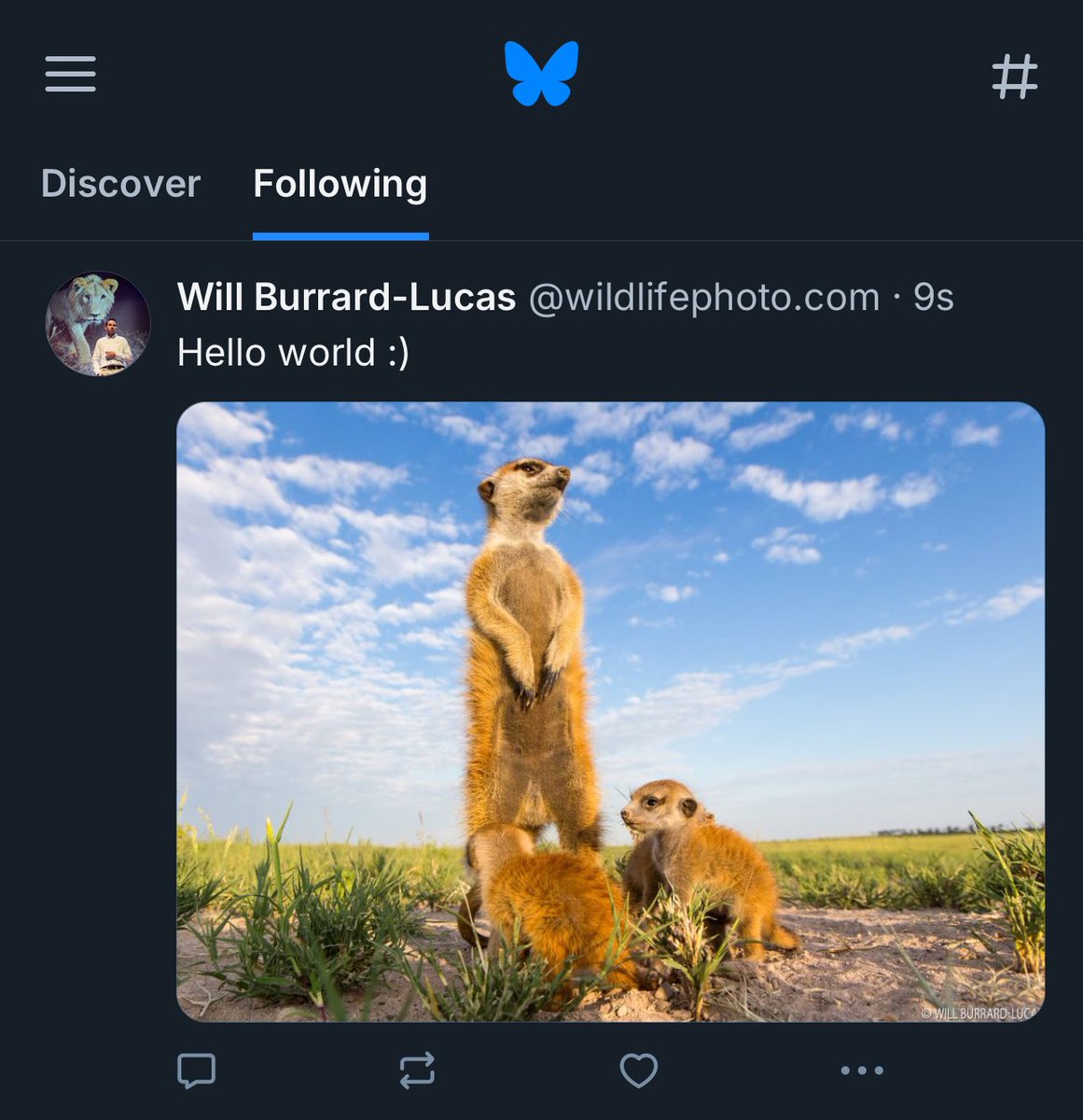 Will Burrard-Lucas (@willbl) on Twitter photo 