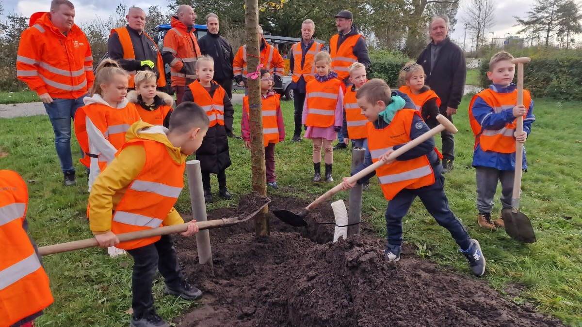 gem_Beverwijk's tweet photo. Gemeente #Beverwijk begint aan de herplant van bomen op plekken waar #StormPoly vorig jaar veel schade aanrichtte. In de week van 18 tot en met 22 november gaan we elke dag feestelijk #bomen planten. Kom ook langs! Bekijk hier ons #Boomfeestdag-programma: https://t.co/X38YyF8eQZ https://t.co/UB8lwoFInT
