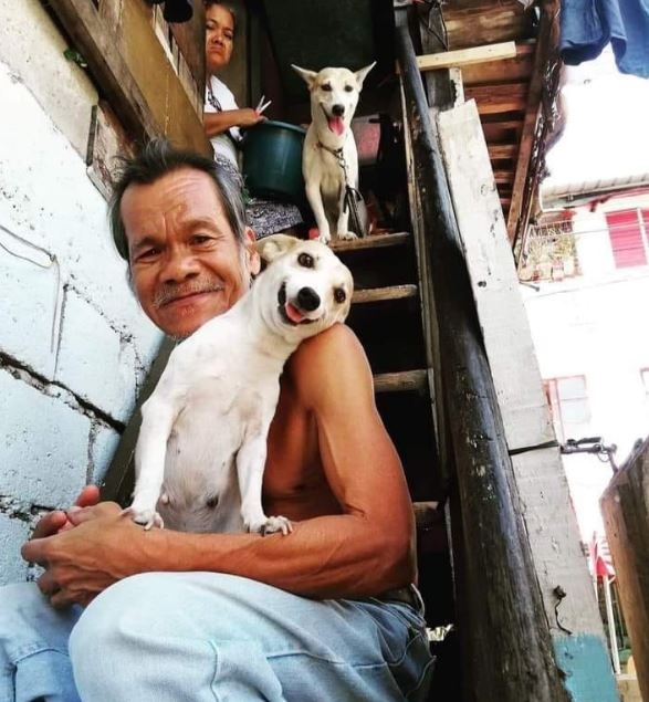 The Dalbo Dog (@dalbodog) on Twitter photo So much much love in one picture So much much love in one picture