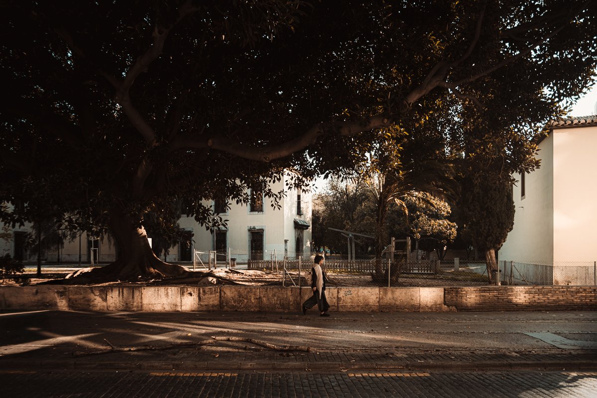 Vitaly Rubtsov tweet media