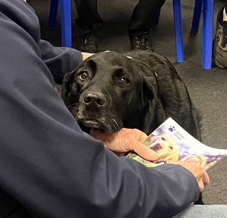 BrynWBQ's tweet photo. Thank you for visiting us @guidedogs we look forward to working with you this year @bryncelynnog https://t.co/XnitTApe6V