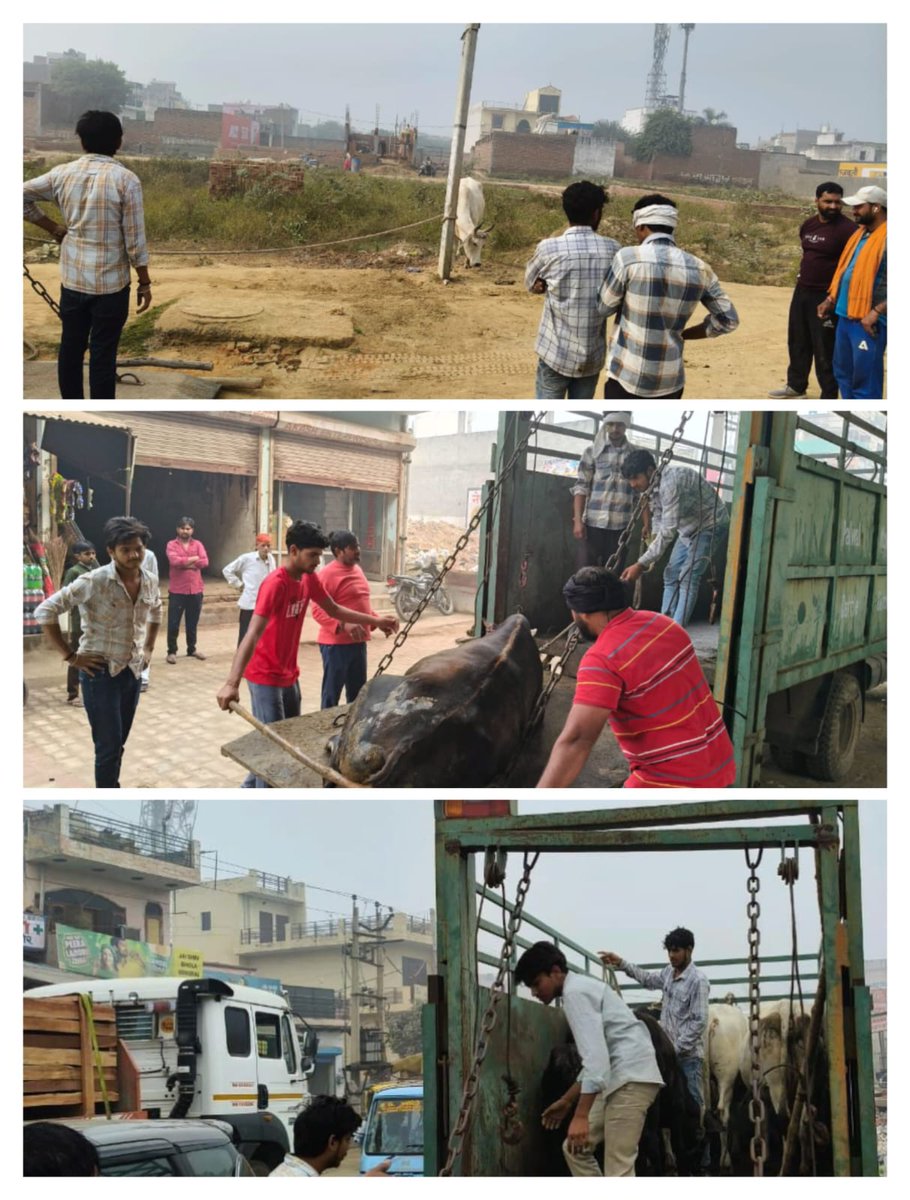 Municipal Council Palwal tweet media