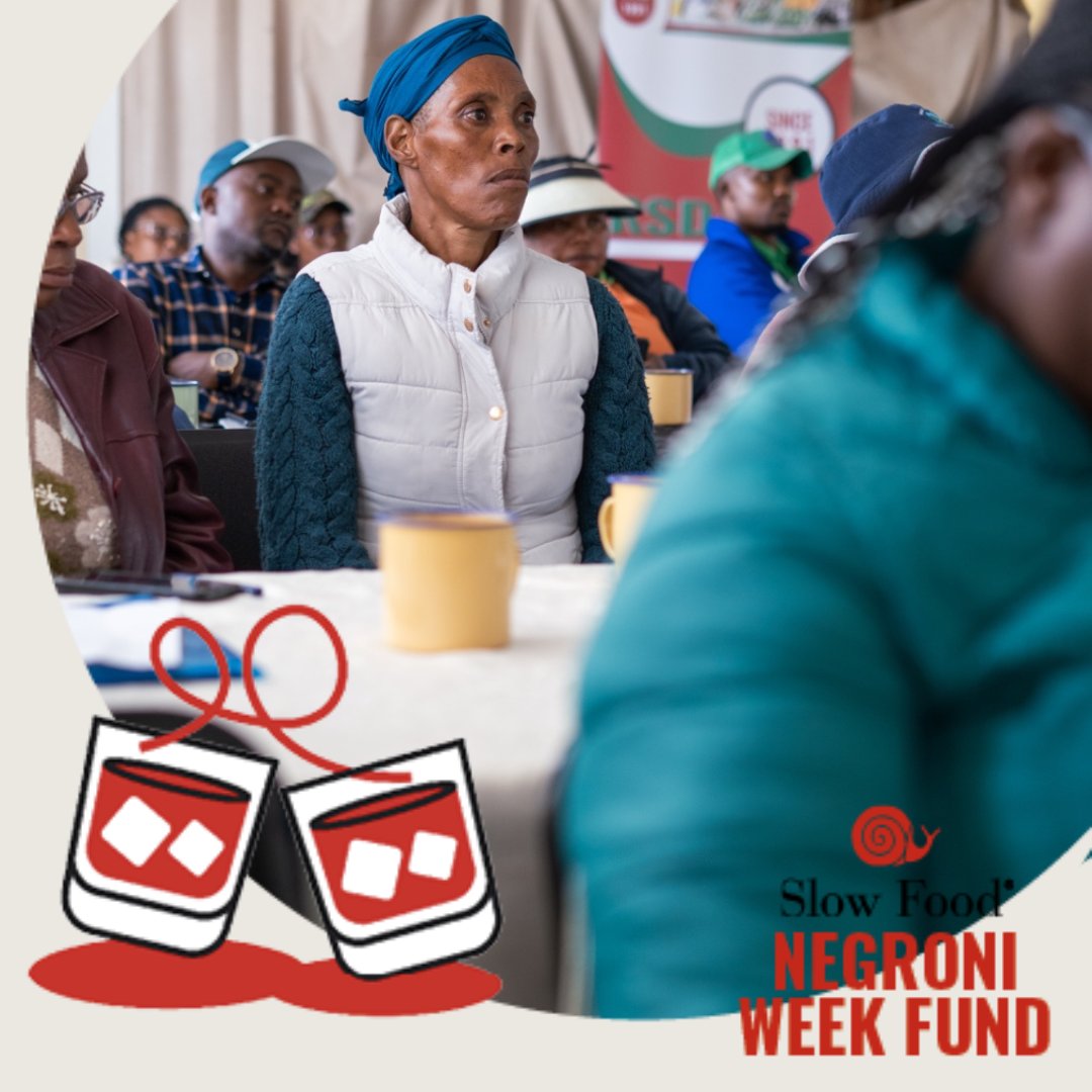 RSDA Lesotho tweet media