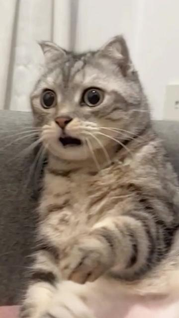 WHu144's tweet image. 啊？？？？？？？？？