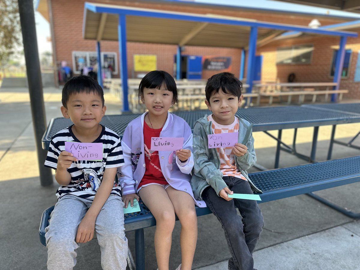 Miss Avila’s class started off their “Sharing the Planet” IBPYP unit with a provocation on living and nonliving things. Students investigated by finding living and nonliving things around the campus, sparking curiosity and critical thinking #SharingThePlanet #InquiryBasedLearning