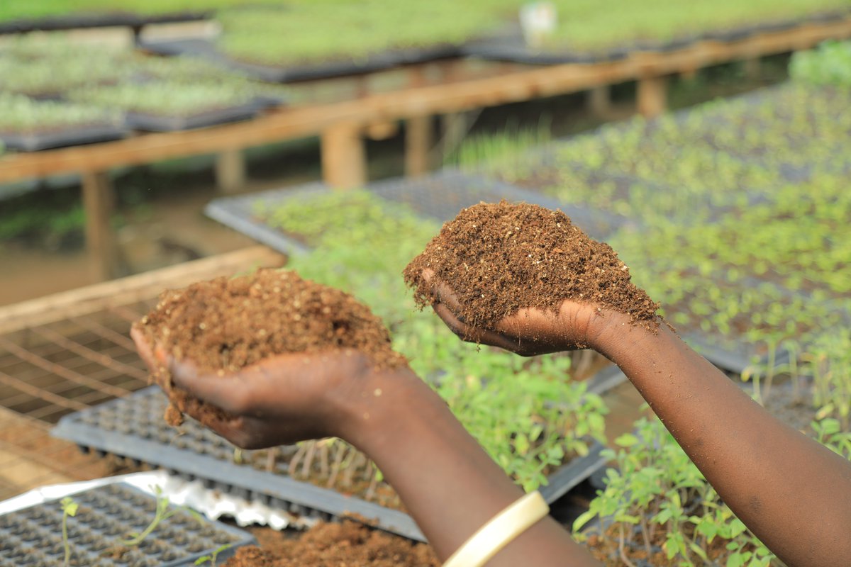 Bundling soil testing with fast-moving crop inputs and ready offtake opportunities can encourage farmers’ investment in soil testing. Demonstrating value to financial institutions is key to designing products that promote this model for SHFs #CSJSoilReport bit.ly/3Vfb0MD