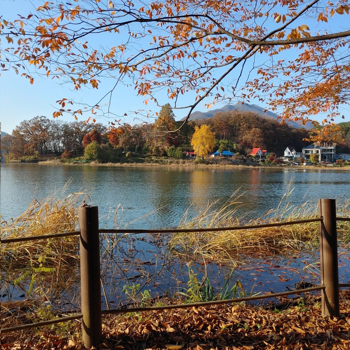 금욜 오후에 시간을 내니 한가롭다 주4일이 오기릍 바래보며,그녀와 좋은시간~ 모두 불금 보내세요