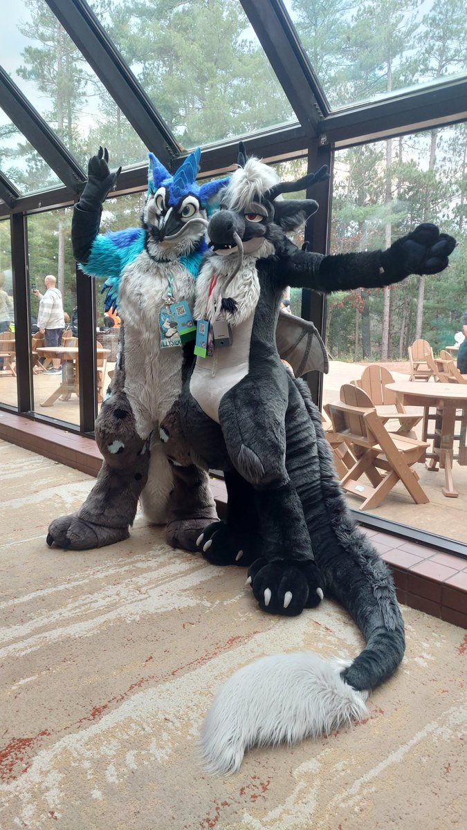 Attor (@attordragon) on Twitter photo I have to always be weary of my whiskers when birbs are around~
Taken at AQF with <a href="/AllysterGryphon/">Bird Brained</a>
#FursuitFriday I have to always be weary of my whiskers when birbs are around~
Taken at AQF with <a href="/AllysterGryphon/">Bird Brained</a>
#FursuitFriday