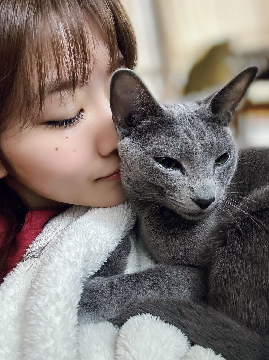 MIDV-168 어라? 밖인데도 갑자기 그녀가 재택의 2일간, 세후레 지원의 그녀의 가장 친한 친구
