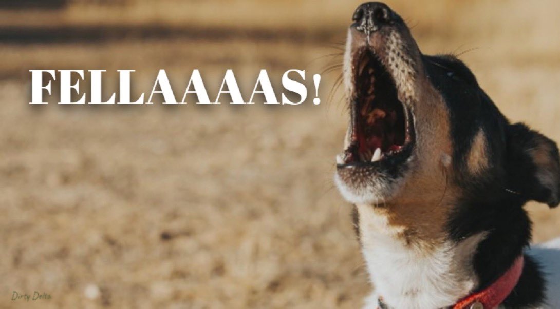 Ok it’s Friday…
See a fella
Comment on their post
Retweet
Follow a fella

Bonk disinformation 👏🏼👏🏼👏🏼

This is the way…