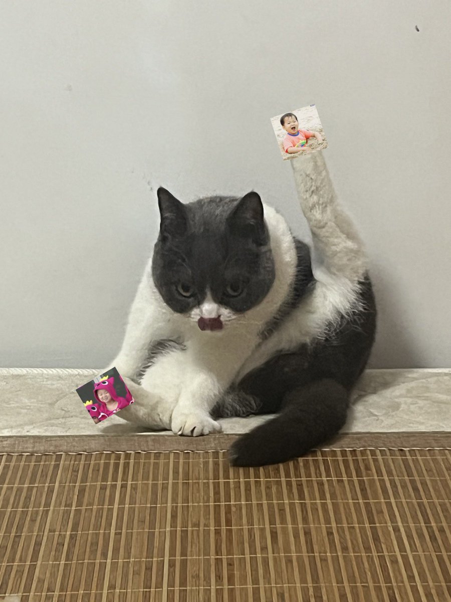 舔屁股被抓🤡