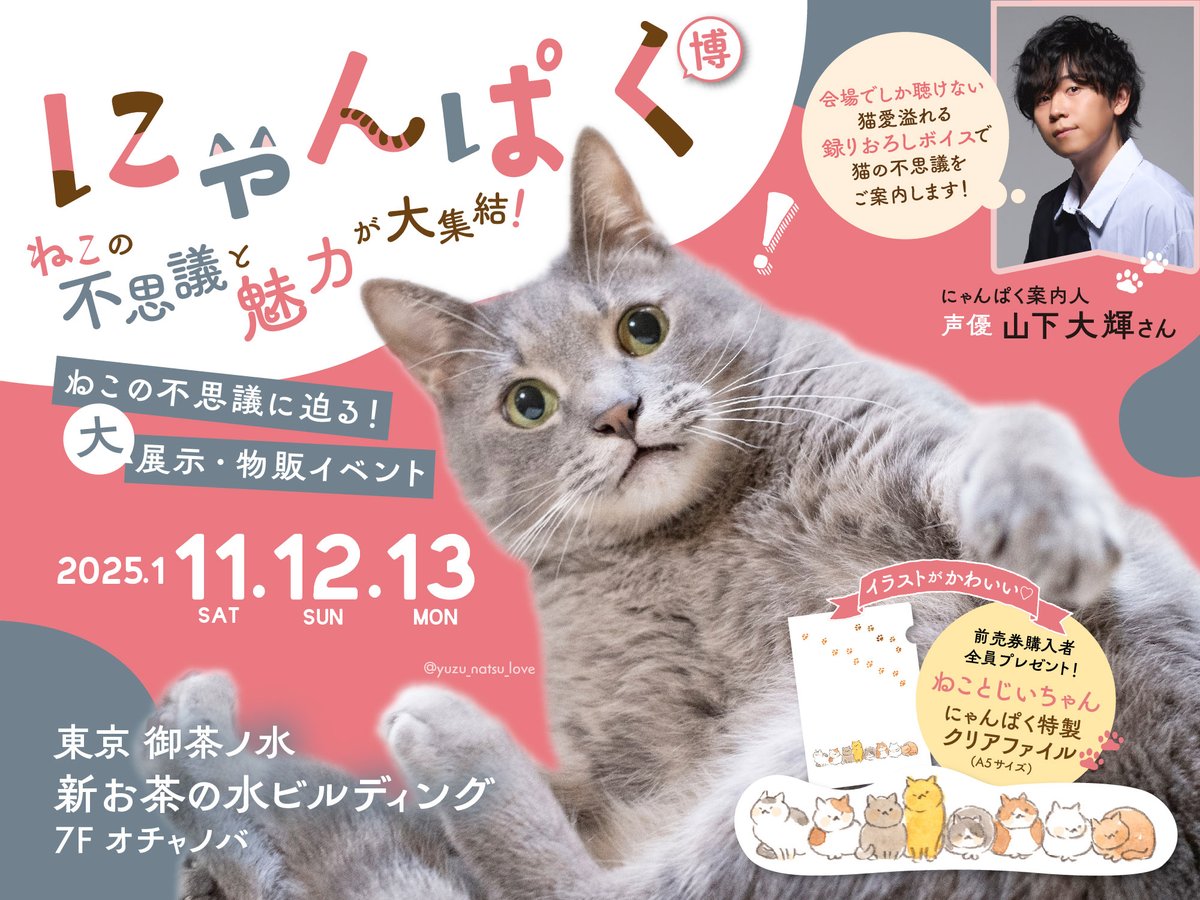 nekonobanpaku's tweet image. ╭━━━━━━━━━━━━━╮
にゃんぱく2025
チケット発売開始🐾
╰━━━━━━v━━━━━━╯
ねこの不思議と魅力が大集合する新春イベント
「にゃんぱく2025」のチケット発売を開始しました🐈
詳細は公式サイトから!
nyanpaku.net
#にゃんぱく #にゃんぱく2025